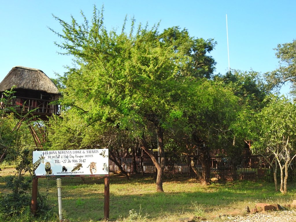 #bonangwenyalodgeandsafaris
