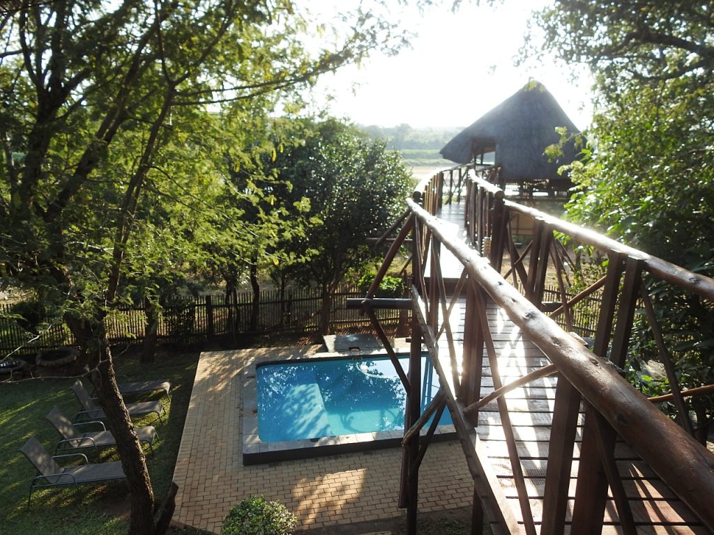 #bonangwenyalodgeandsafaris