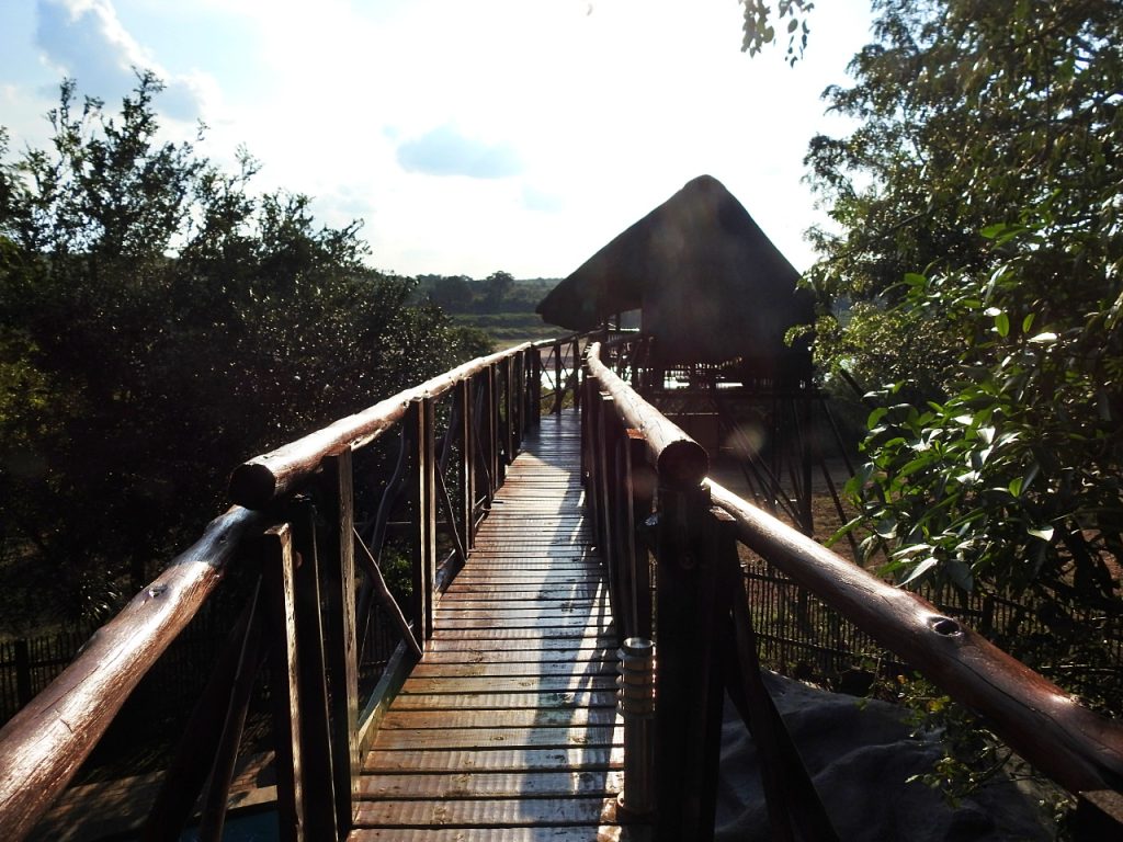 #bonangwenyalodgeandsafaris