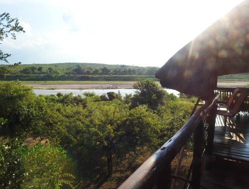 #bonangwenyalodgeandsafaris