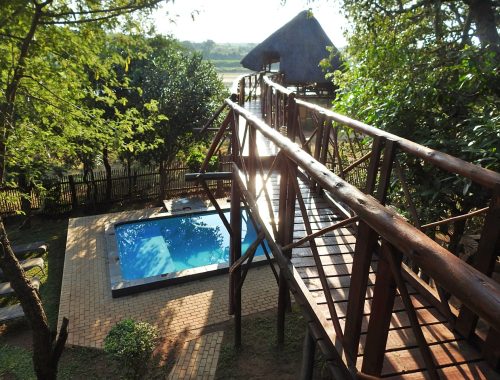 #bonangwenyalodgeandsafaris