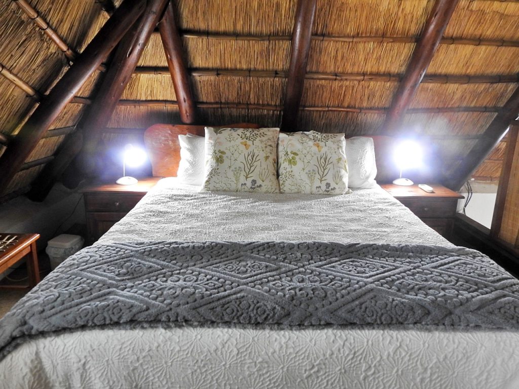 #bonangwenyalodgeandsafaris