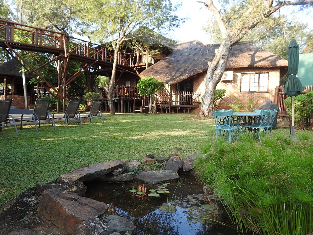 #bonangwenyalodgeandsafaris