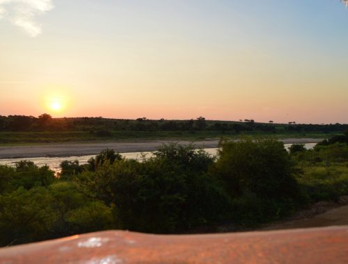 #bonangwenyalodgeandsafaris