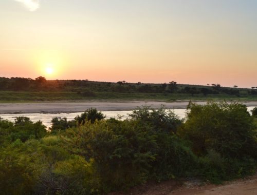 #bonangwenyalodgeandsafaris