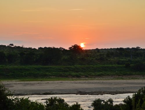 #bonangwenyalodgeandsafaris