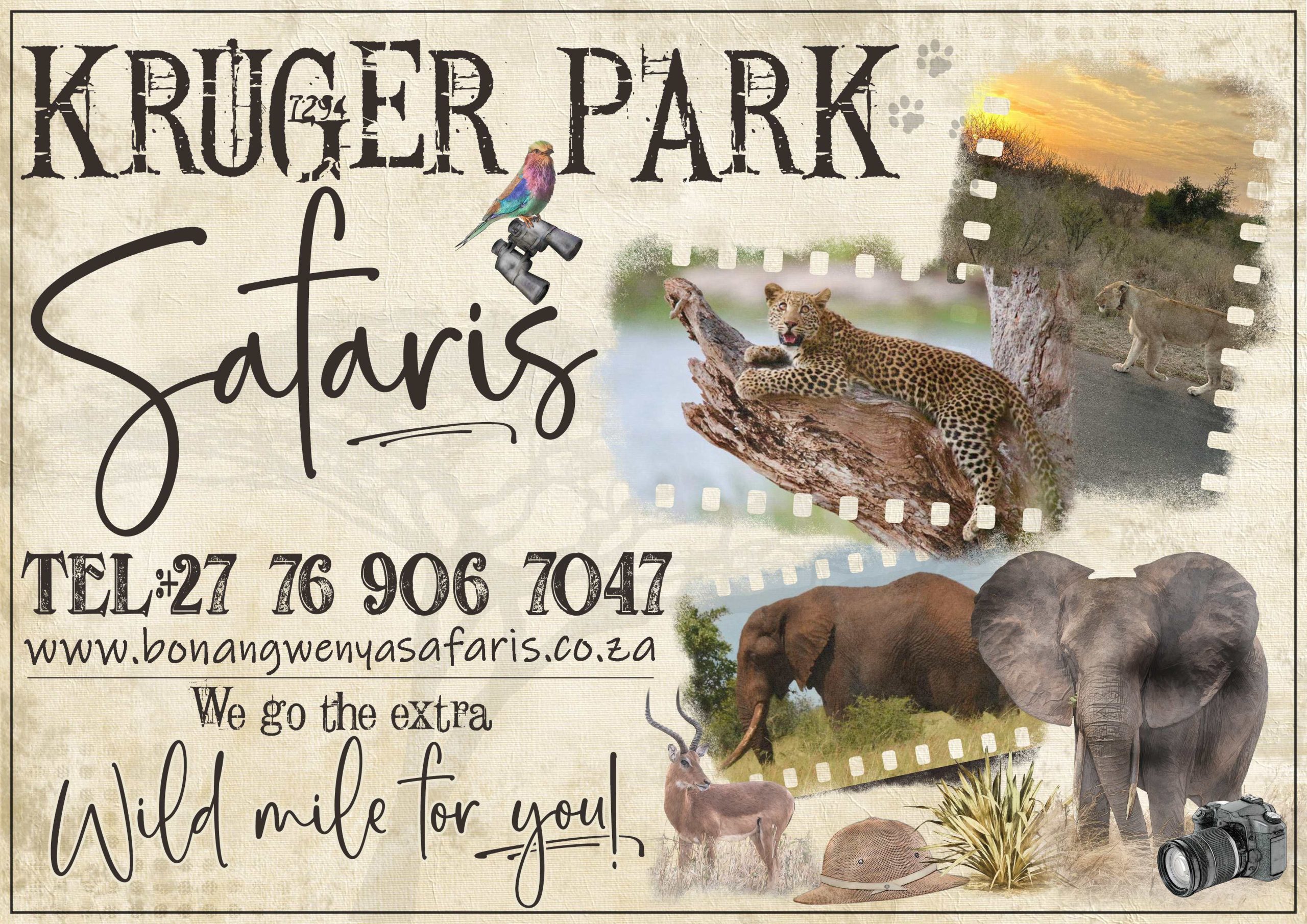 #bonangwenyalodgeandsafaris