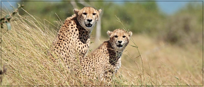 #bonangwenyalodge